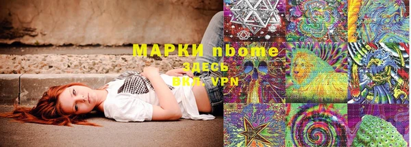 хмурый Алзамай