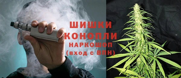 хмурый Алзамай