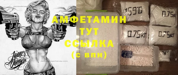 хмурый Алзамай