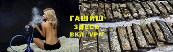 хмурый Алзамай