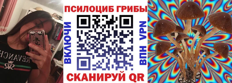 мега ТОР  Бикин  Псилоцибиновые грибы мухоморы  купить закладку 
